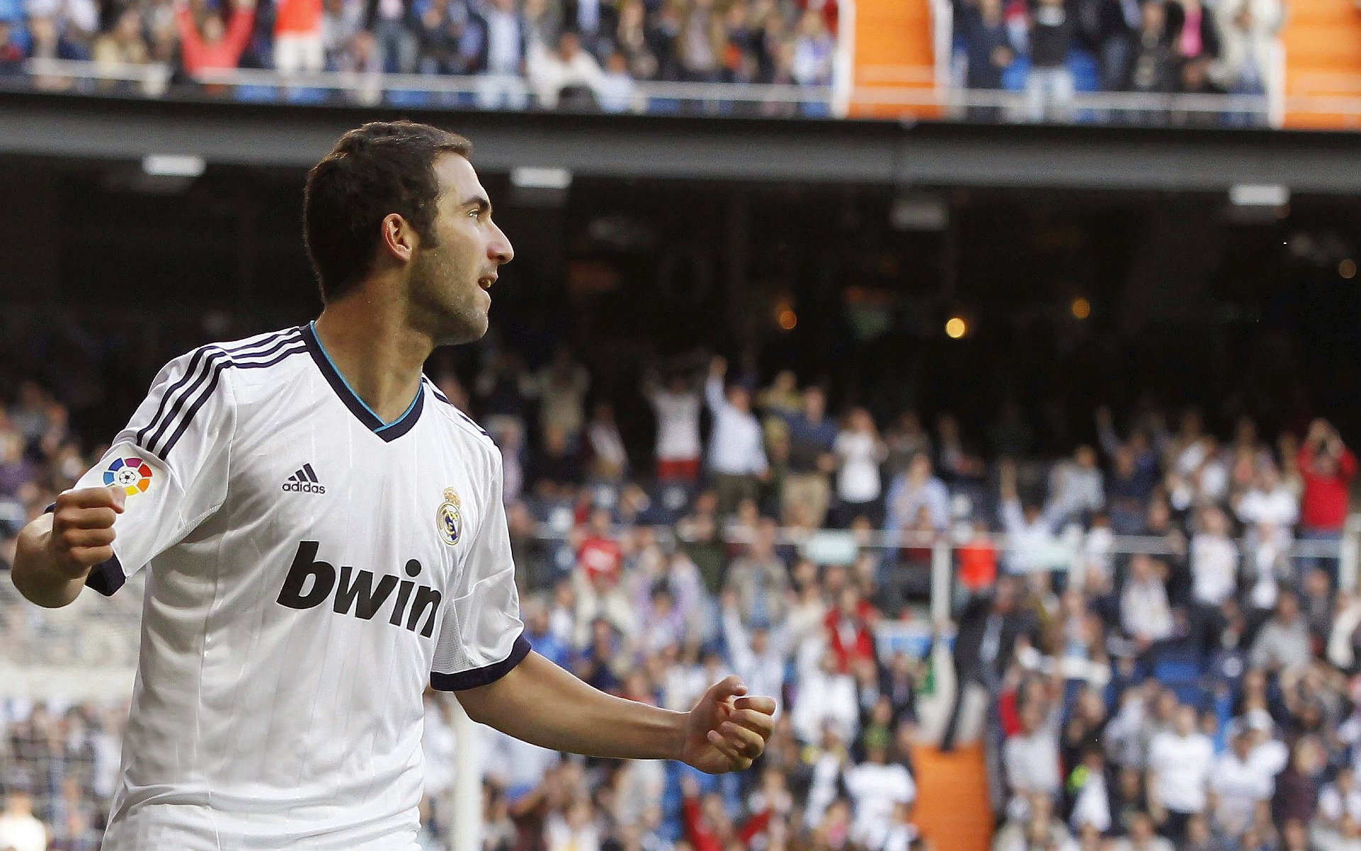 美洲杯球队中的年轻才俊崭露头角,美洲杯足球队